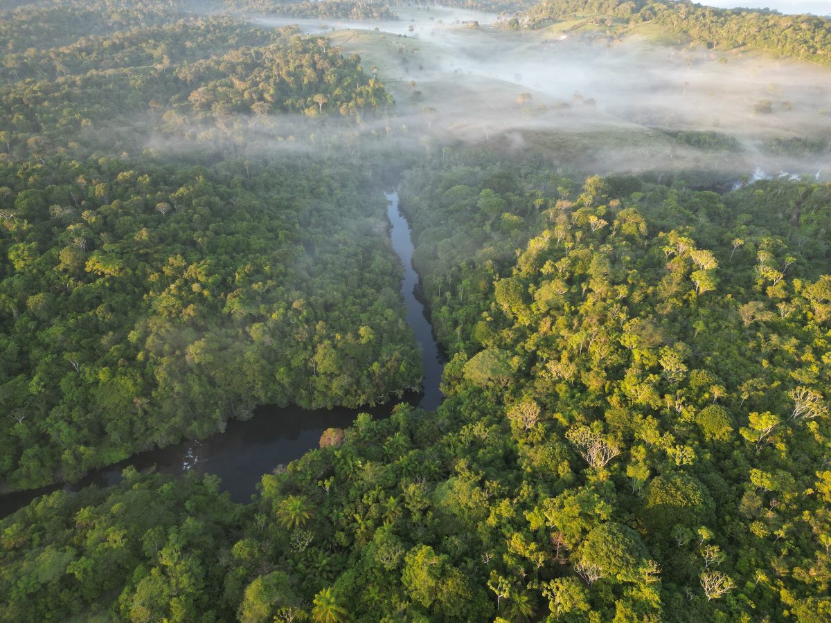 O rio serpenteando sob a neblina do amanhecer