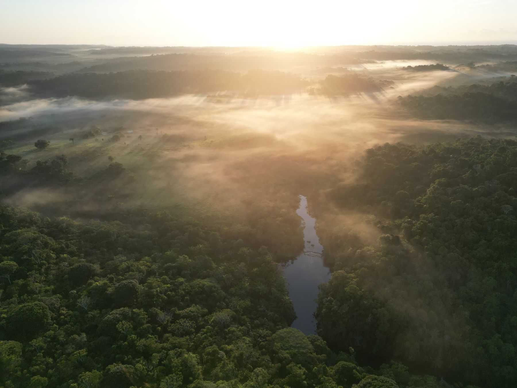Mata Atlântica ao amanhecer na Serra do Conduru